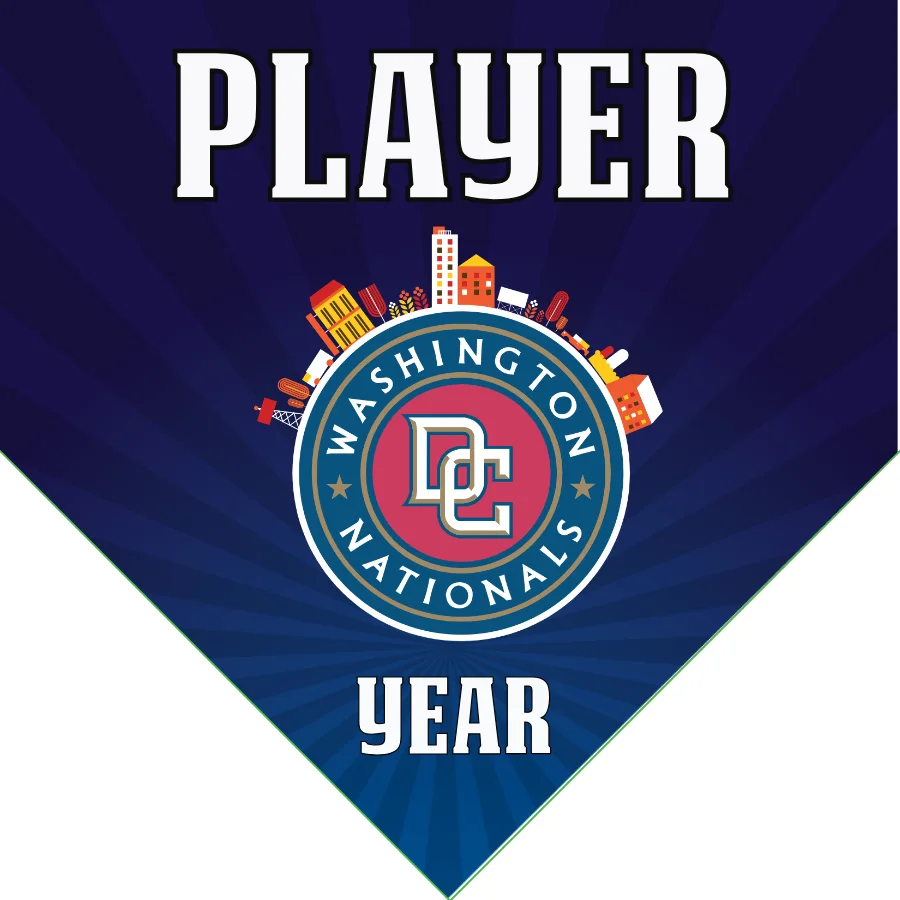 Nationals Baseball Banner-baseball-opening-day-banners-images