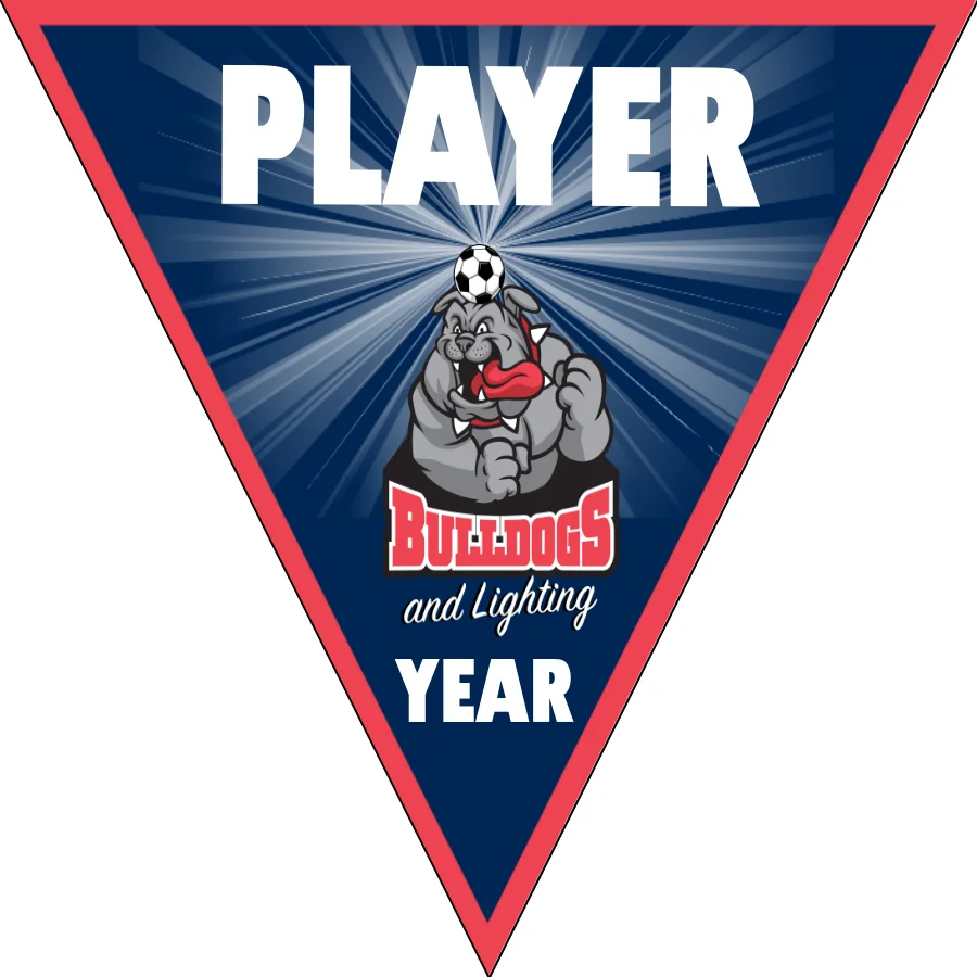 Bulldog and lighting 2 Soccer Banner-soccer-banner-pvc-picture