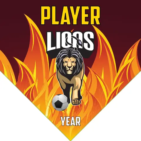 Lions 2 Soccer Banner-banner-soccer-image