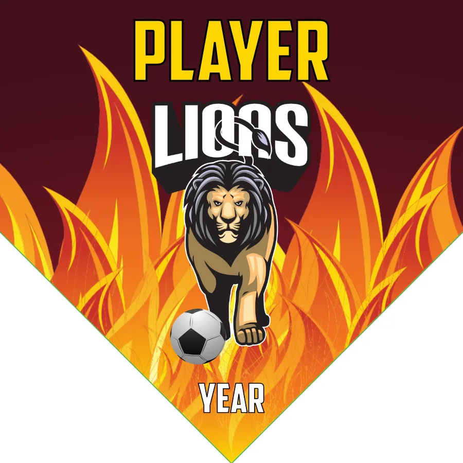 Lions 2 Soccer Banner-banner-soccer-image