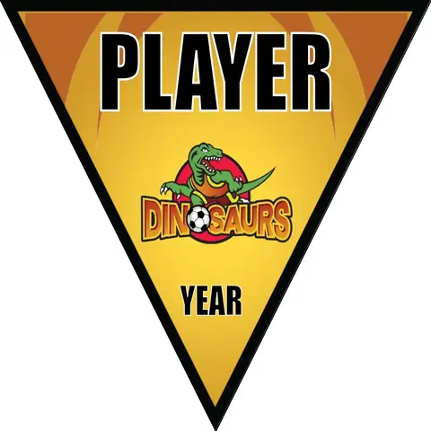 Dinosaurs Soccer Banner-soccer-banner-prices-picture