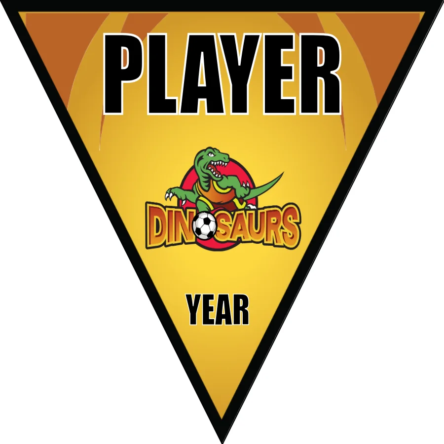 Dinosaurs Soccer Banner-soccer-banner-prices-picture