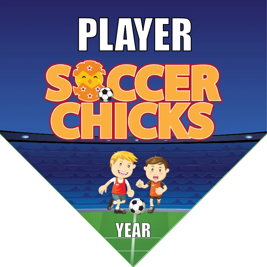 Soccer Chicks Soccer Banner-soccer-banner-stand-picture