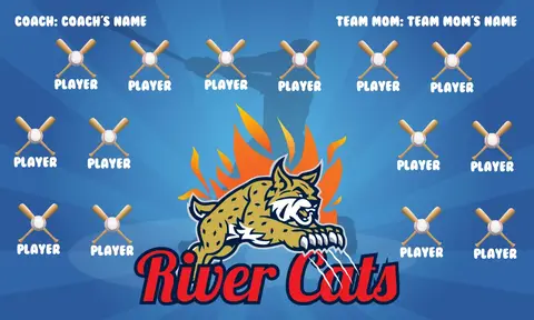 River Cats 2 Softball Banner-all-star-softball-banners-images