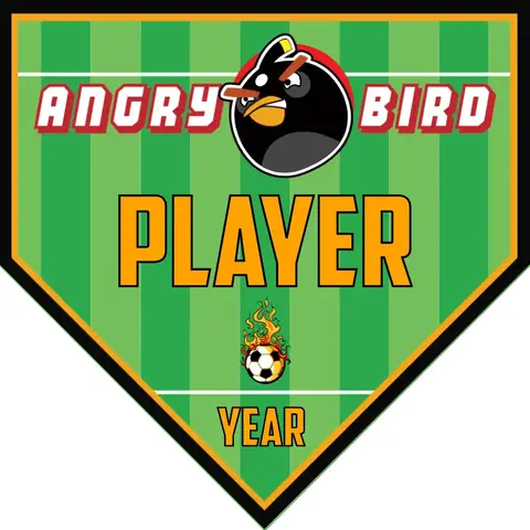 Angry Birds 1 Soccer Banner-banner-soccer-image