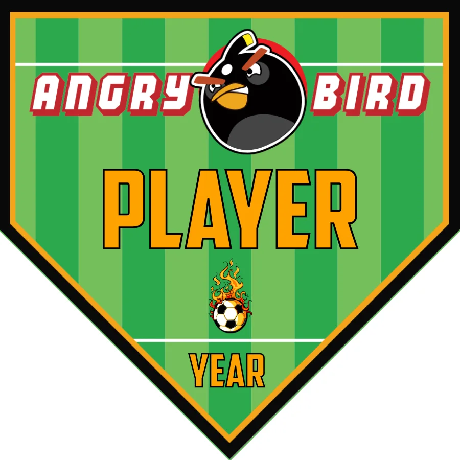 Angry Birds 1 Soccer Banner-banner-soccer-image