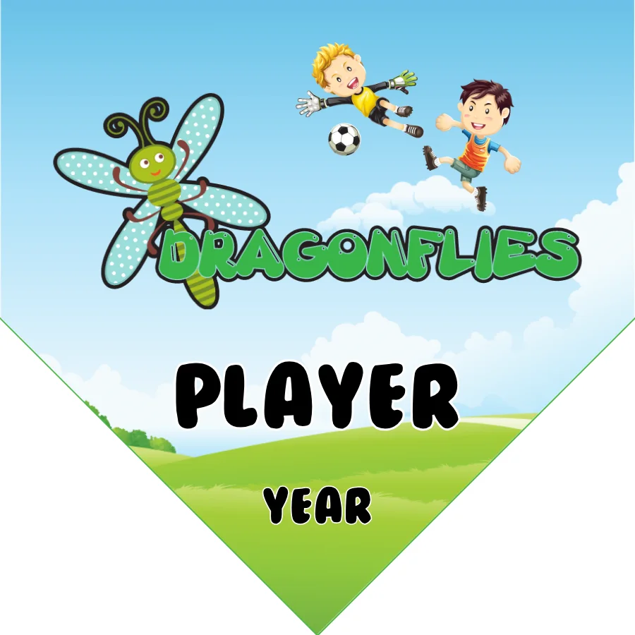 Dragonflies Soccer Banner-cheap-soccer-team-banner-picture