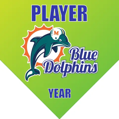 Dolphins 2 Softball Banner-senior-softball-banners-images
