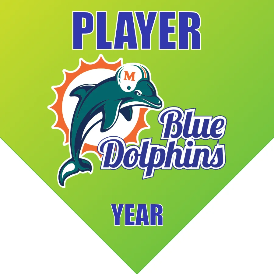 Dolphins 2 Softball Banner-senior-softball-banners-images
