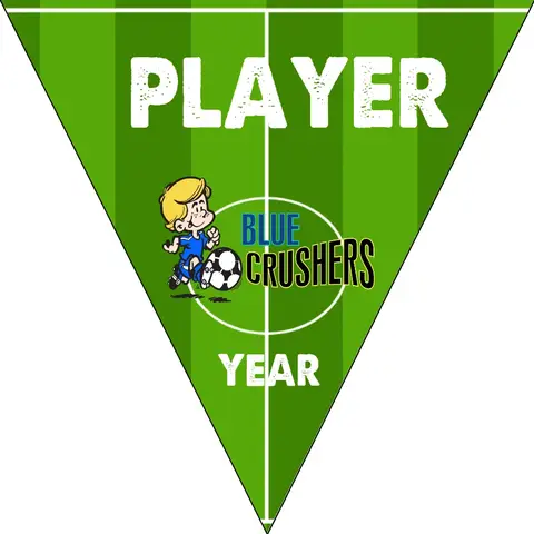 Crushers Blue Soccer Banner-soccer-birthday-party-banner-picture