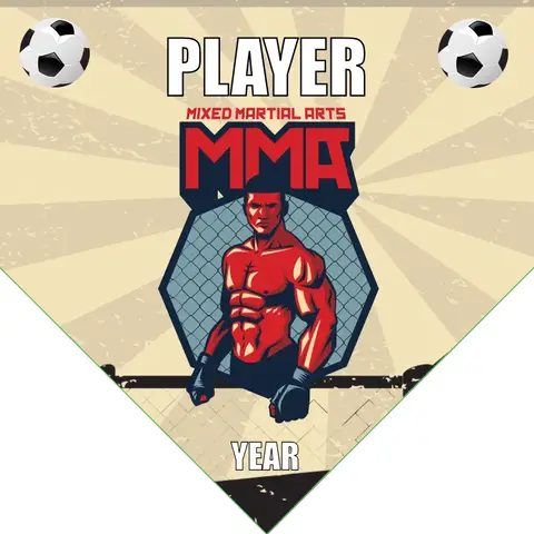 MMA Soccer Banner-soccer-team-banner-picture