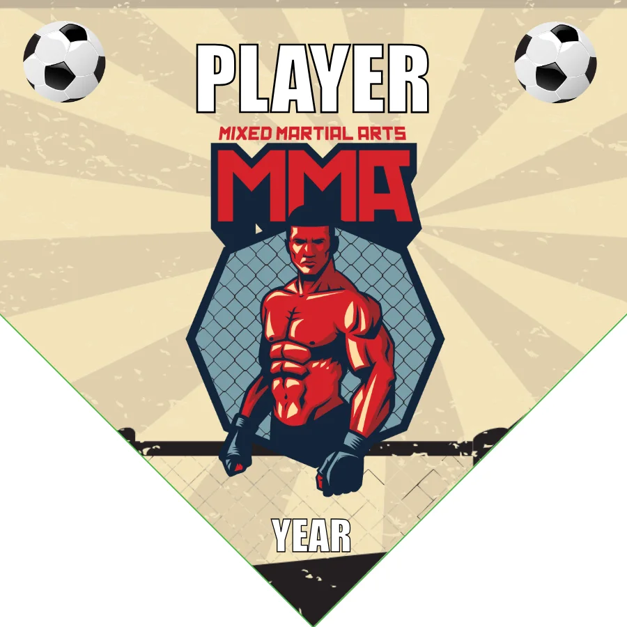 MMA Soccer Banner-soccer-team-banner-picture