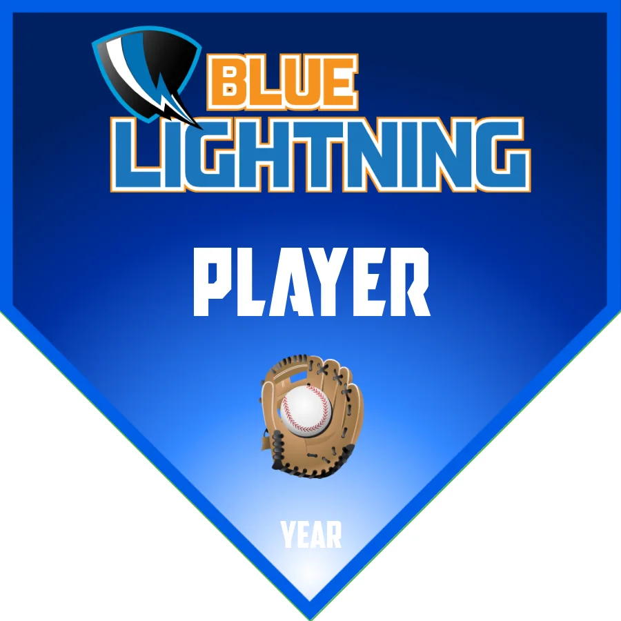 Blue Lightning 2 Softball Banner-baseball-banners-cheap-images