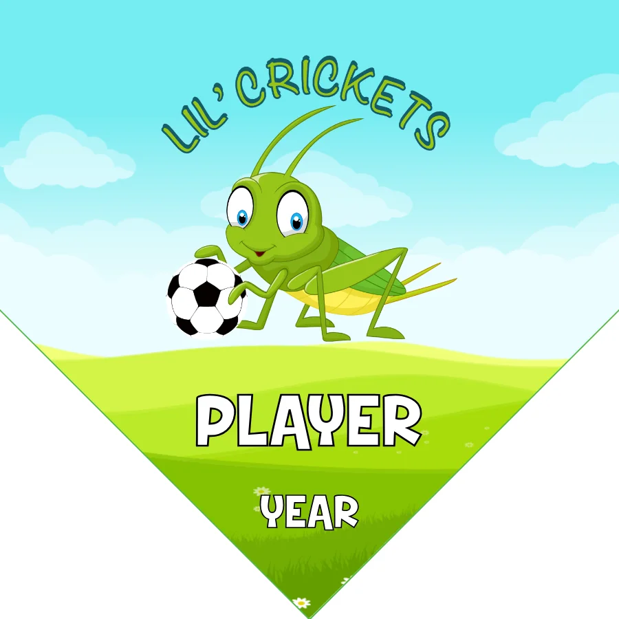 Crickets Soccer Banner-japanese-soccer-banner-picture