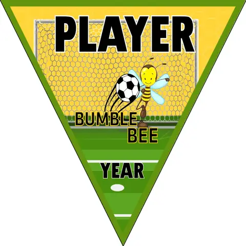 Bumble Bee Soccer Banner-ayso-soccer-banner-requirements-picture
