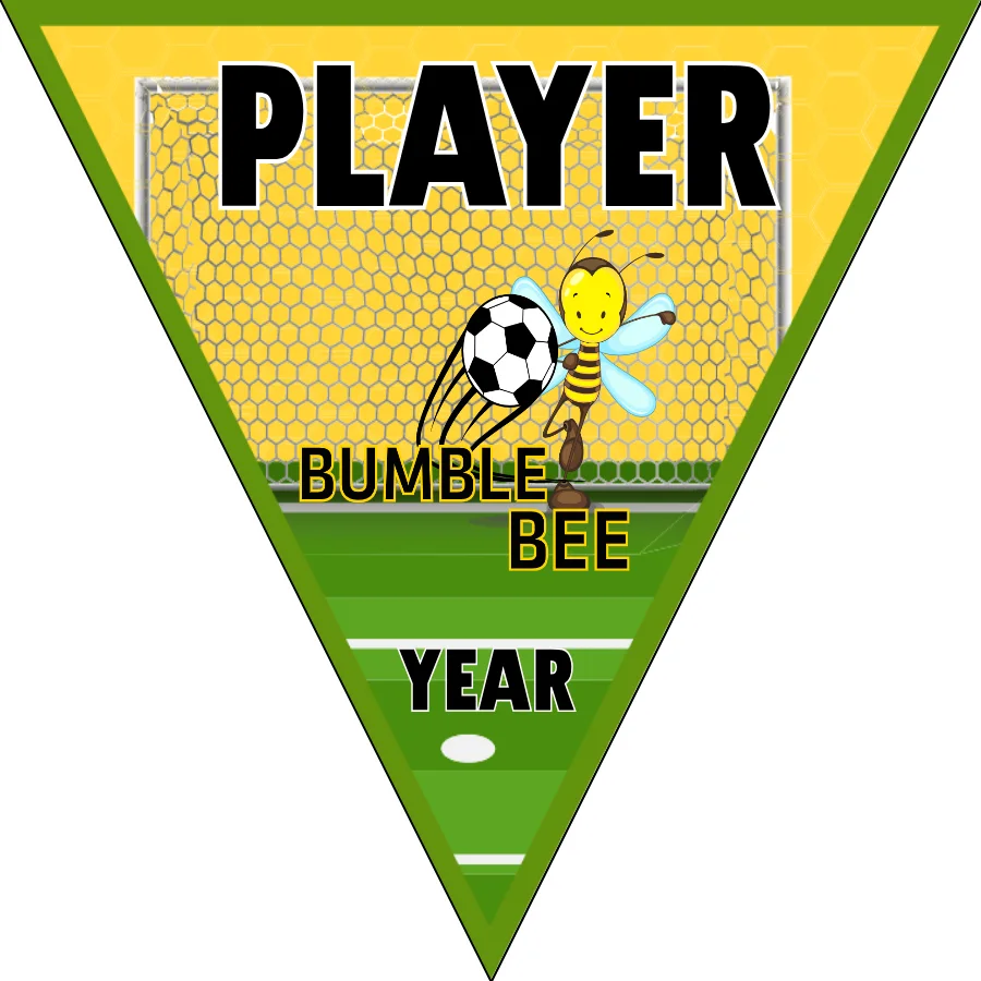 Bumble Bee Soccer Banner-ayso-soccer-banner-requirements-picture