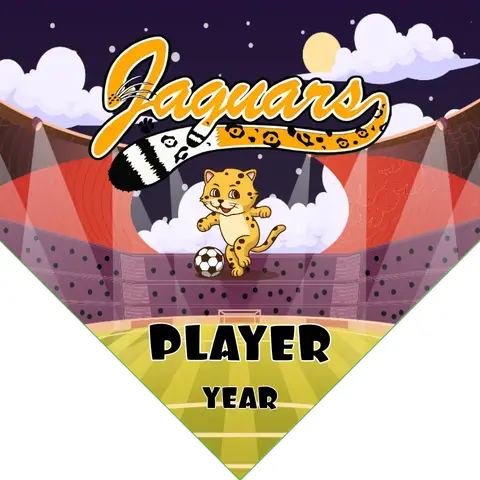 Jaguars Soccer Banner-soccer-banners-ideas-picture