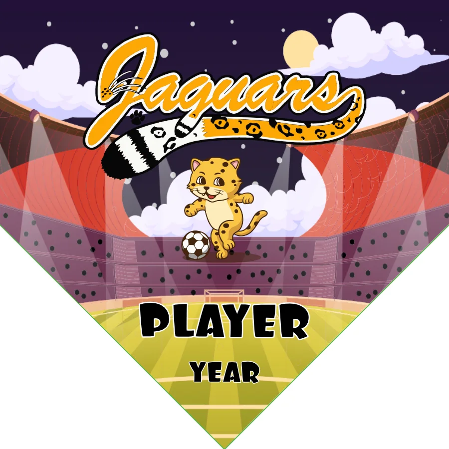 Jaguars Soccer Banner-soccer-banners-ideas-picture