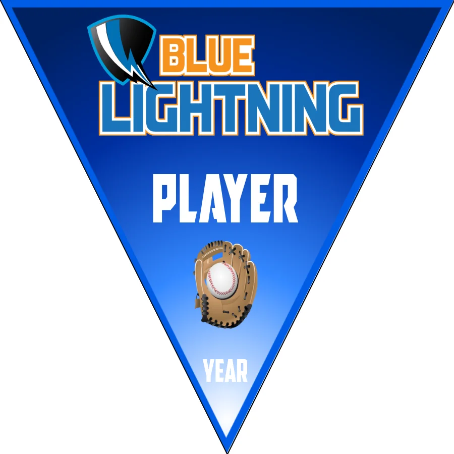 Blue Lightning 2 Softball Banner-baseball-banners-cheap-images