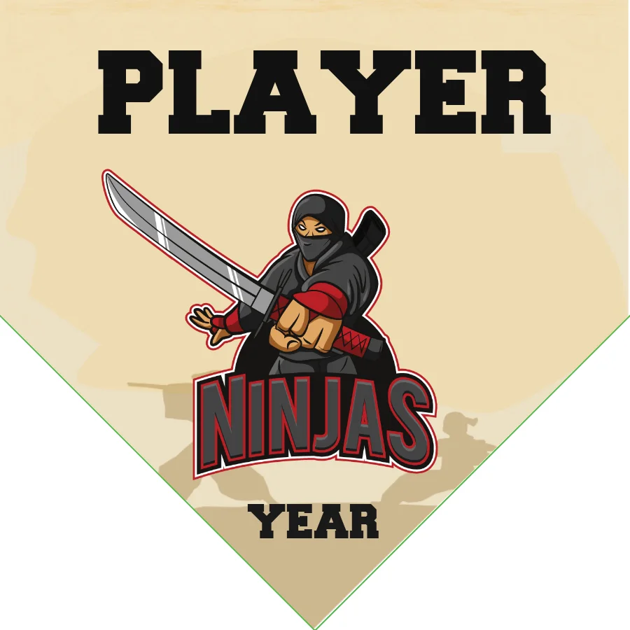 Ninjas 2 Softball Banner-softball-birthday-banners-images