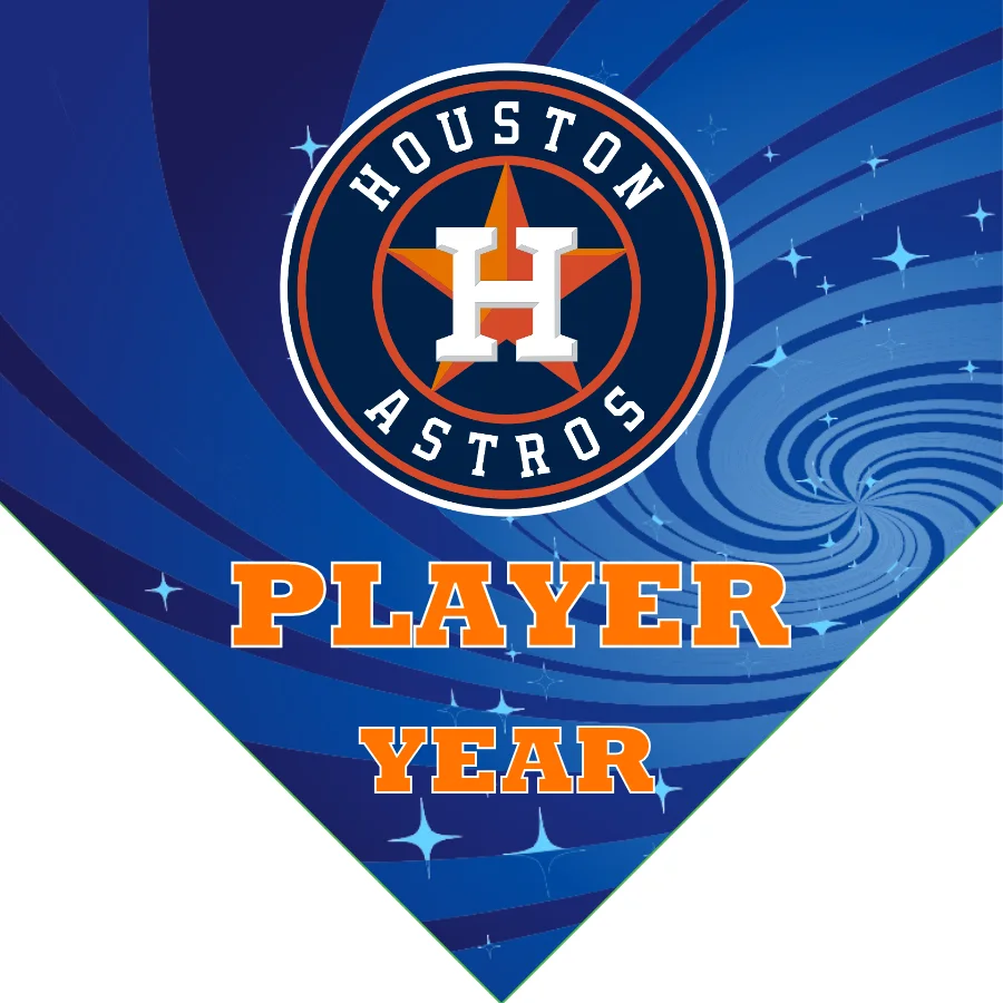 Houston Astros Baseball Banner-making-a-felt-baseball-banner-images