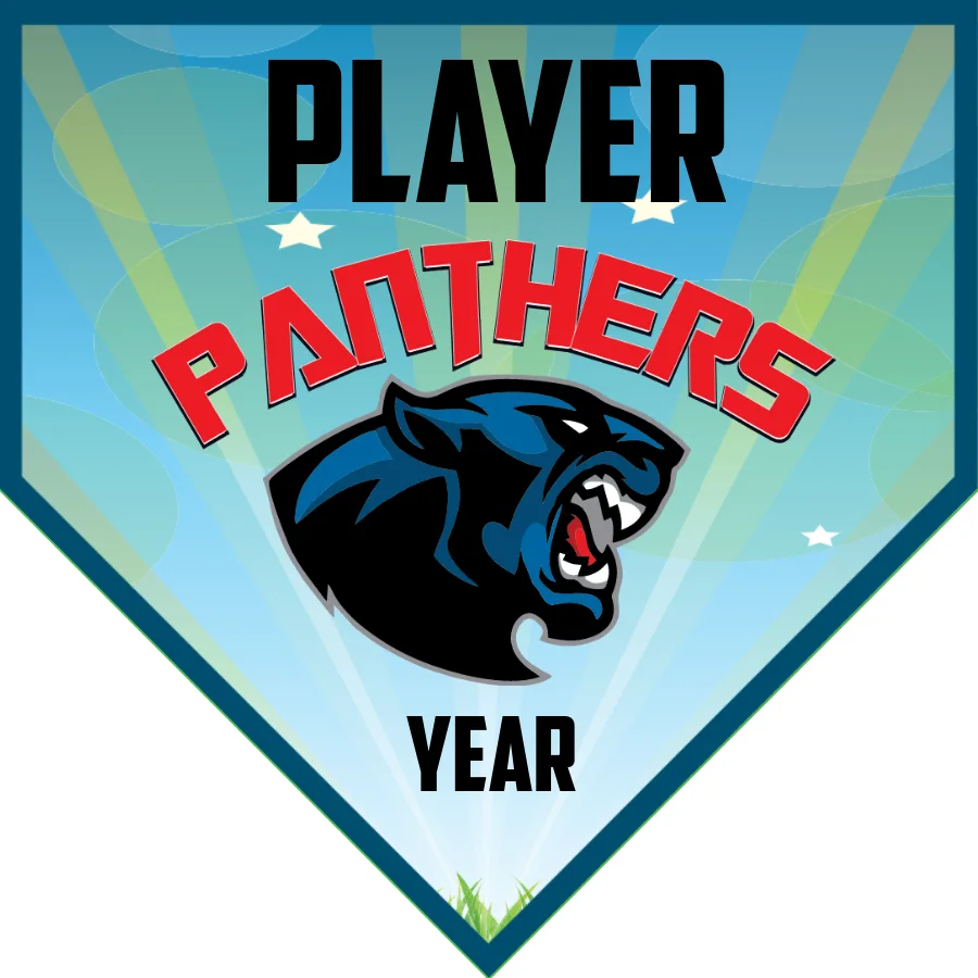 Panthers 1 Softball Banner-airbrushed-softball-banners-images