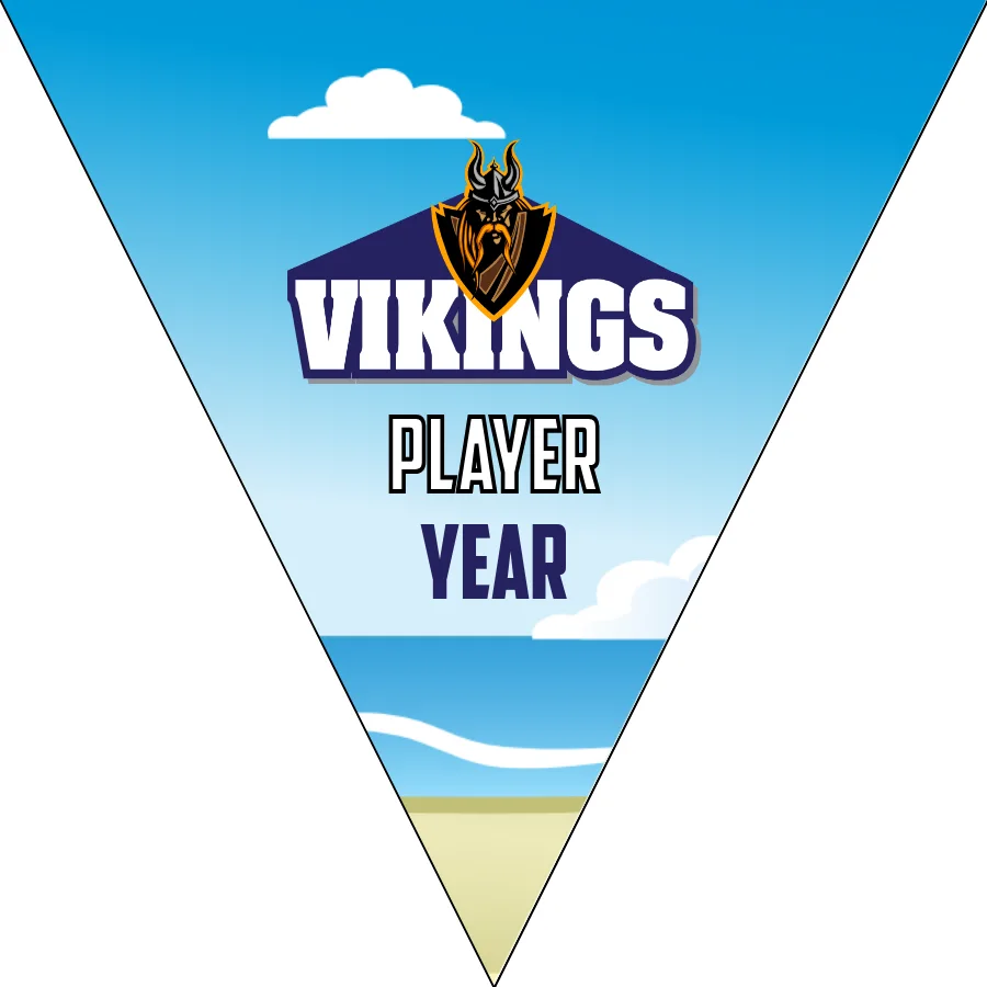 Vikings Soccer Banner,-soccer-party-banner-picture