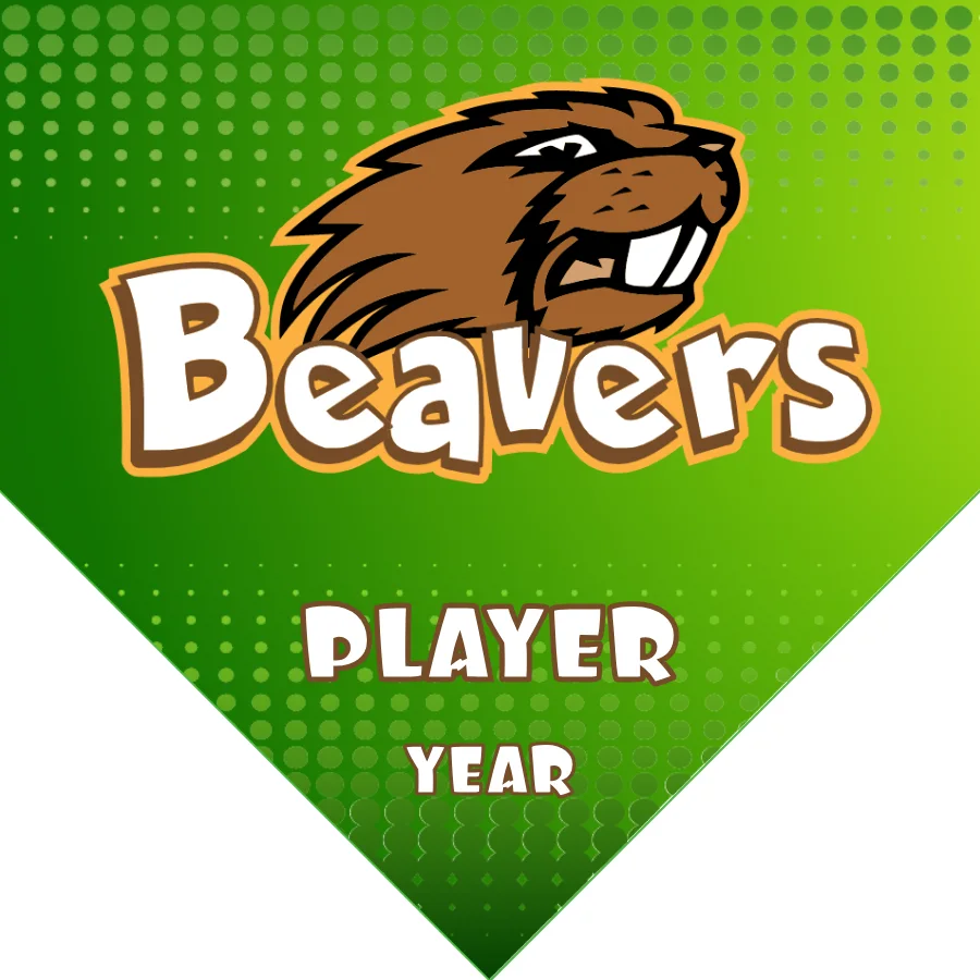 Beavers Soccer Banner-avengers-soccer-banner-picture