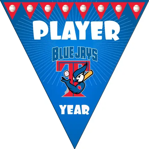 Blue Jays Baseball Banner-easton-baseball-banners-images