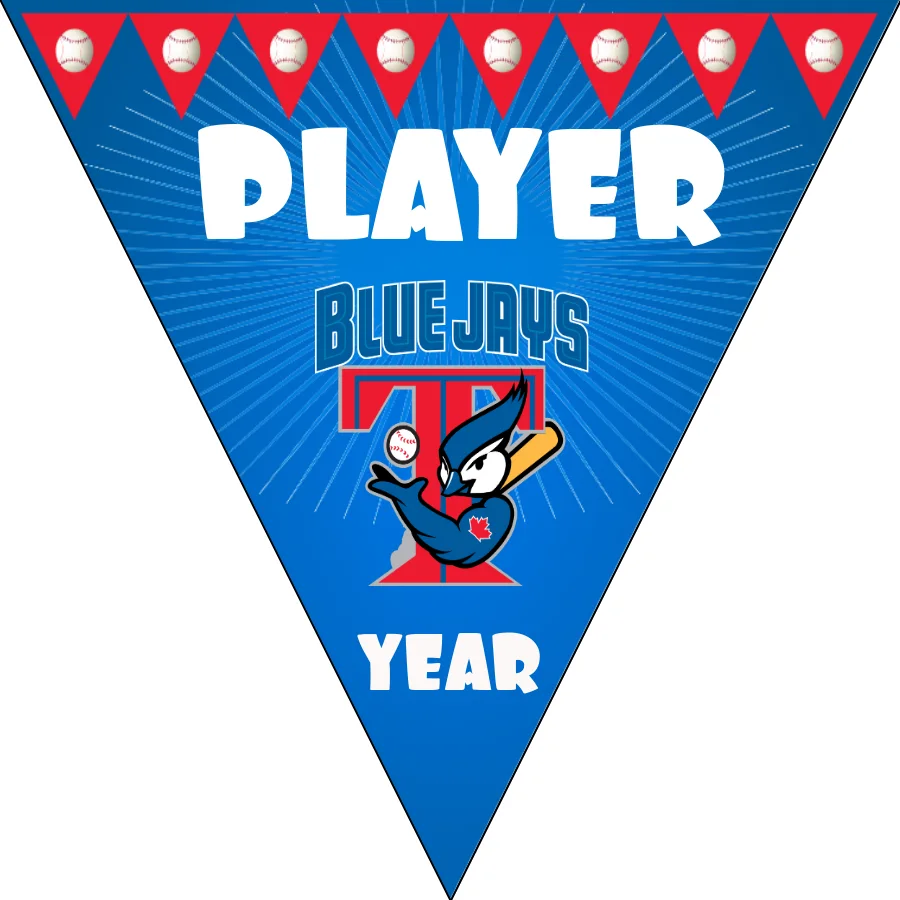 Blue Jays Baseball Banner-easton-baseball-banners-images