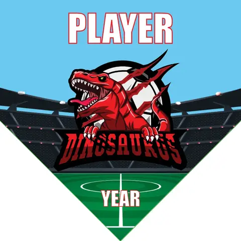 Dinosauros Soccer Banner-banner-soccer-image