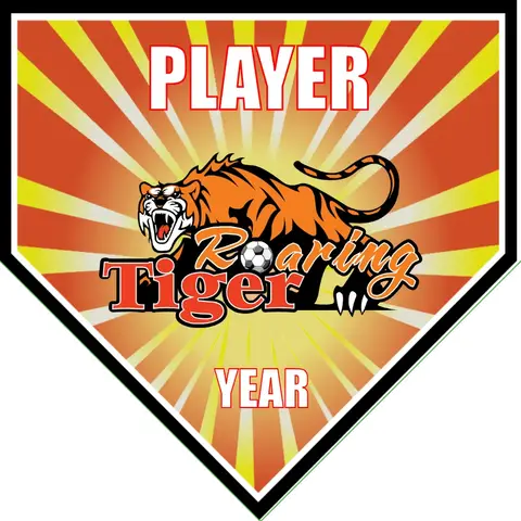 Roaring Tigers 2 Banner-soccer-team-banner-picture