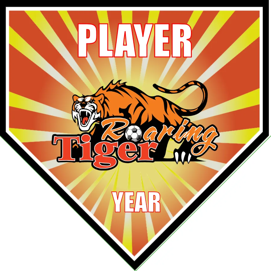 Roaring Tigers 2 Banner-soccer-team-banner-picture