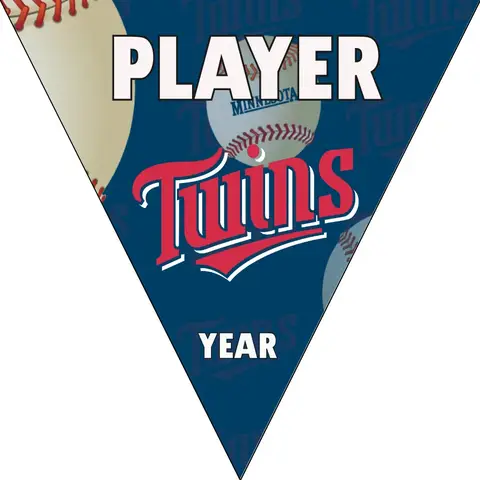 Twins Baseball Banner-youth-baseball-banner-images