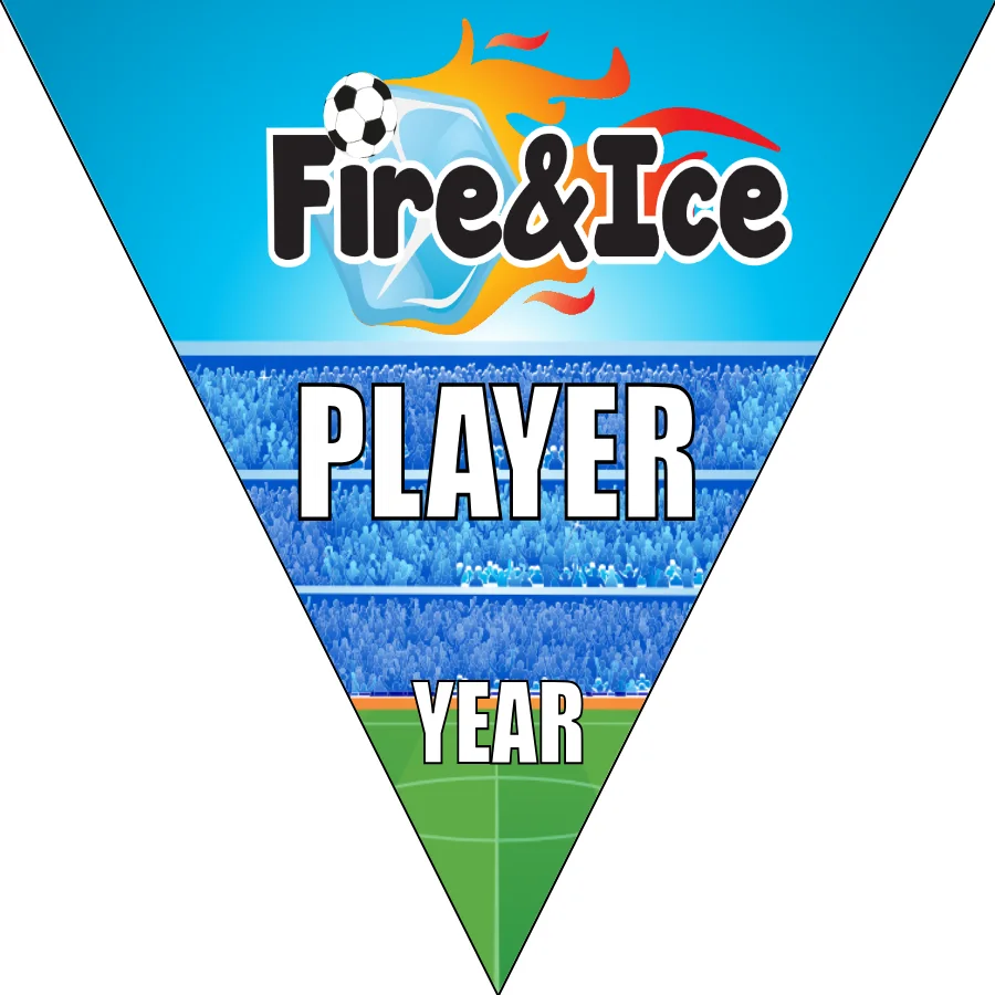 FireIce Soccer Banner-soccer-banner-flags-picture