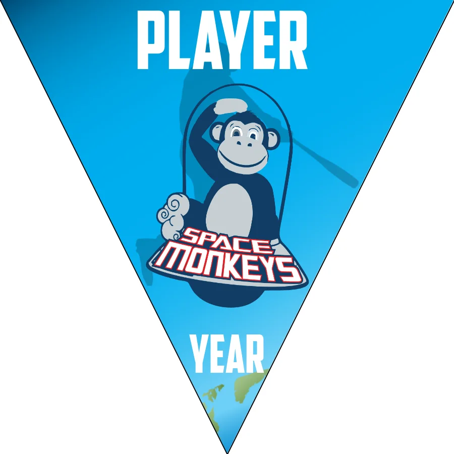 SpaceMonkey-blue-monkey-triangle-softball-banner-designs-picture