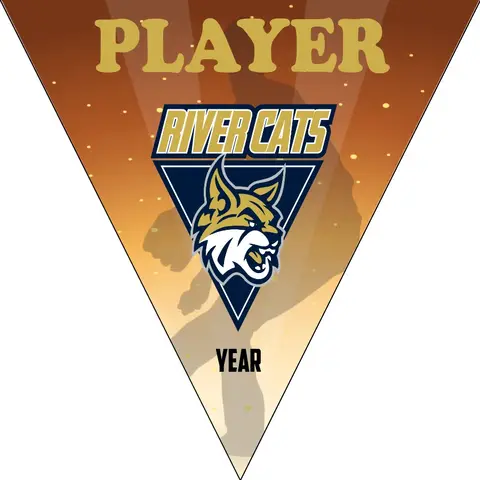 River Cats 1 Softball Banner-softball-banners-templates-picture