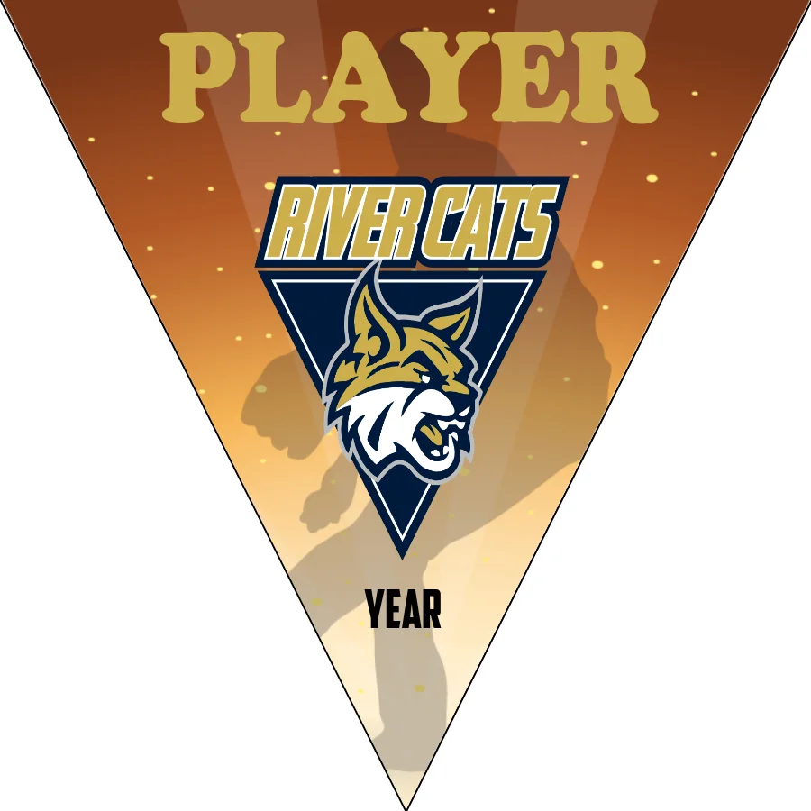 River Cats 1 Softball Banner-softball-banners-templates-picture