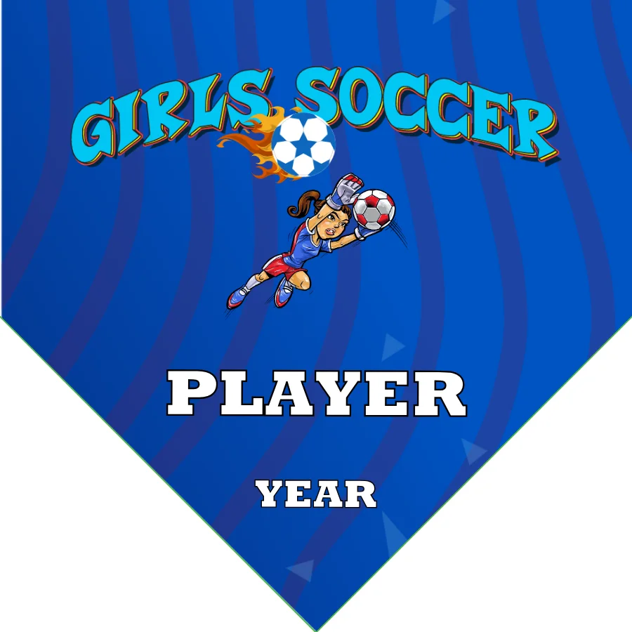 Girls Soccer Soccer Banner-soccer-banner-pictures-picture