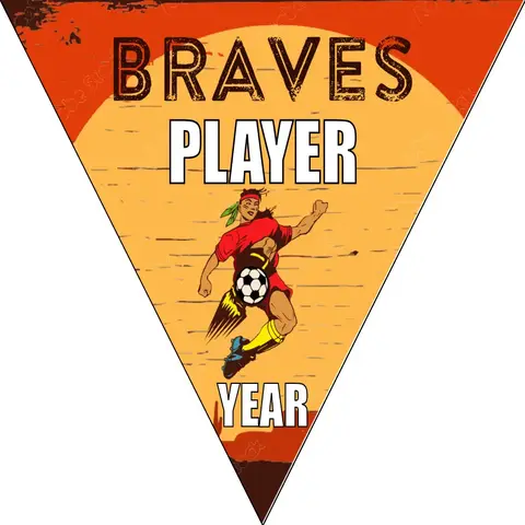 Braves Soccer Banner-soccer-banner-pole-kit-picture