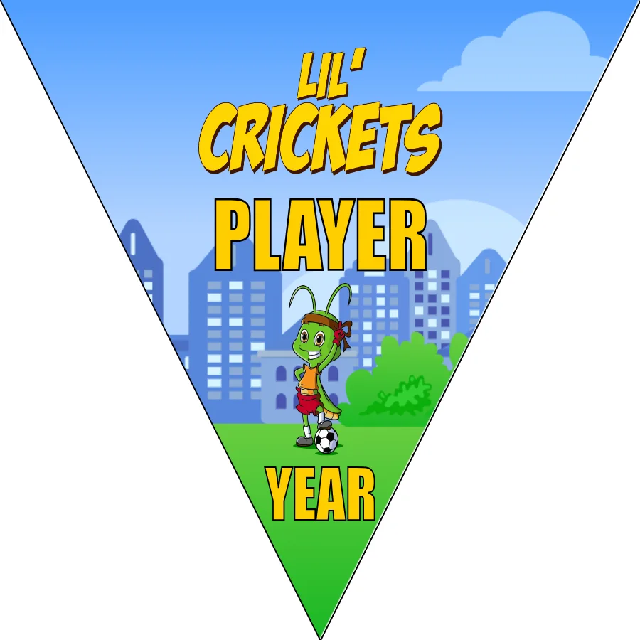 Lil'Crickets Soccer Banner-soccer-banners-picture