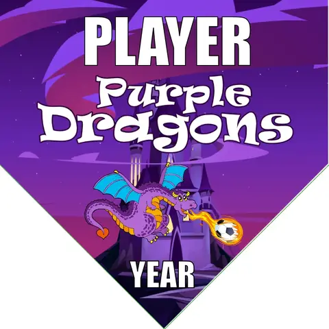 Purple Dragons Soccer Banner-soccer-banners-sacramento-picture
