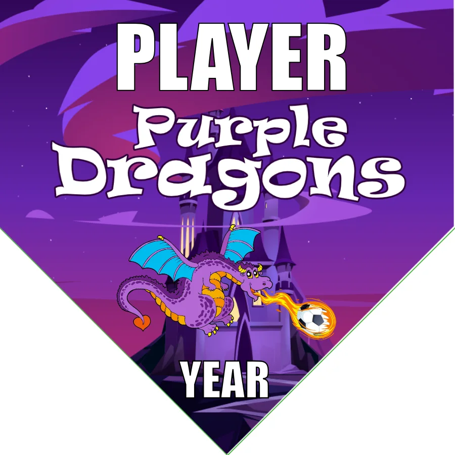 Purple Dragons Soccer Banner-soccer-banners-sacramento-picture