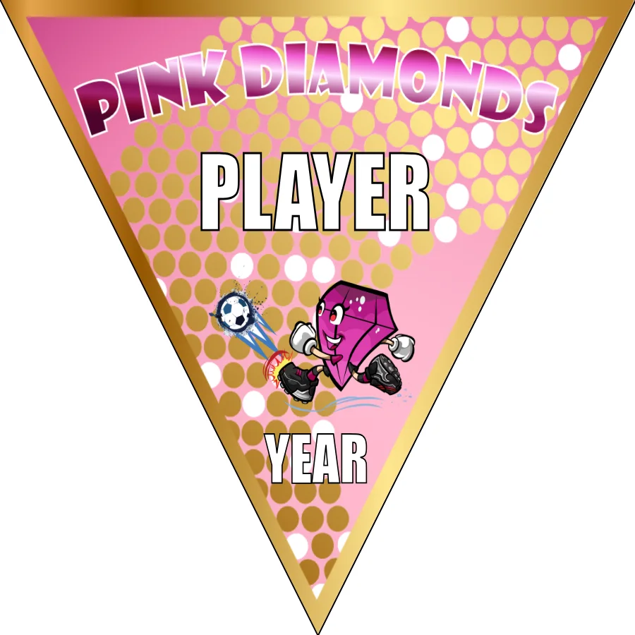Pink Dimonds Soccer Banner-soccer-banners-near-me-picture