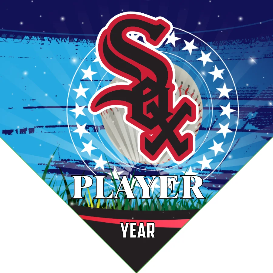 Chicago white 2 Baseball Banner-diy-baseball-banner-images