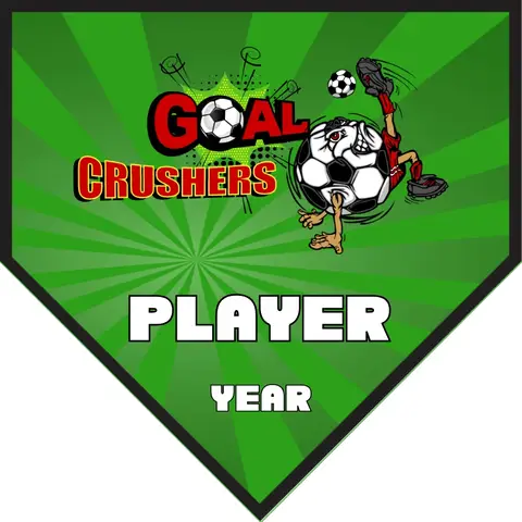 Crushers Goal Soccer Banner-make-soccer-banner-stand-picture