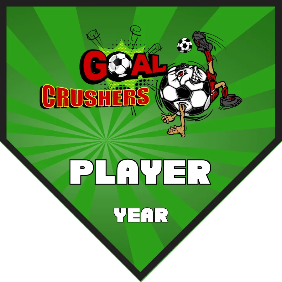 Crushers Goal Soccer Banner-make-soccer-banner-stand-picture