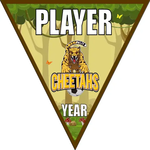 Cheetahs 1 Soccer Banner-belgium-soccer-banner-picture