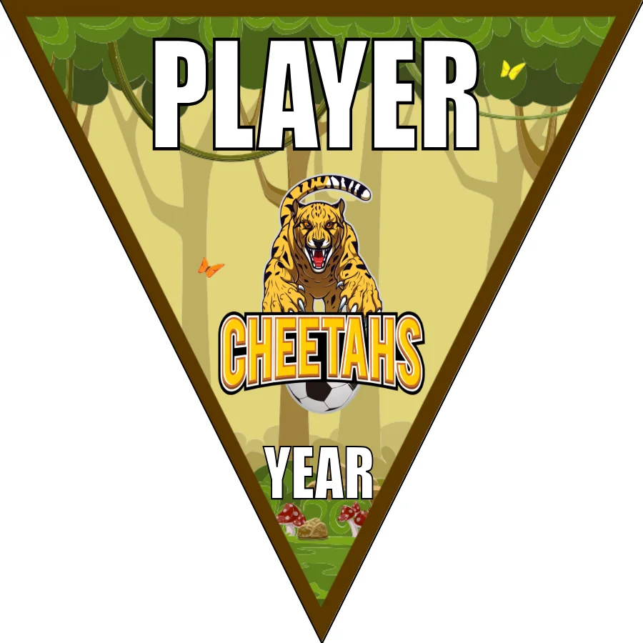 Cheetahs 1 Soccer Banner-belgium-soccer-banner-picture