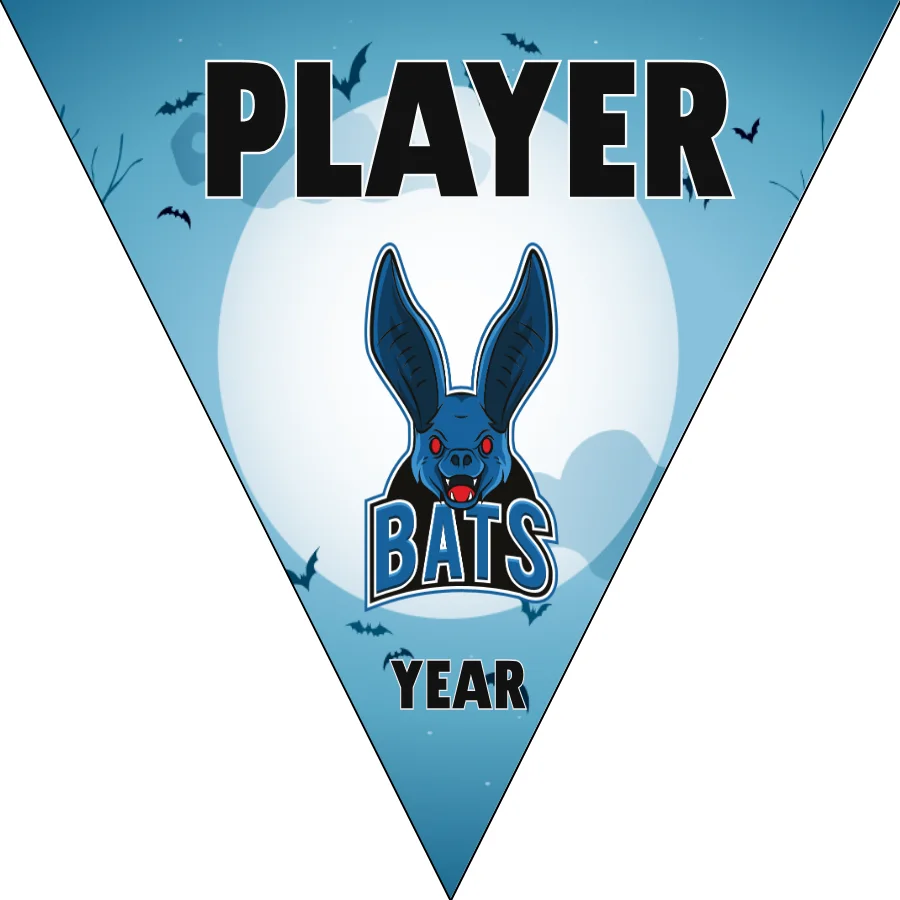 Bats 3 Softball Banner-softball-banners-templates-picture